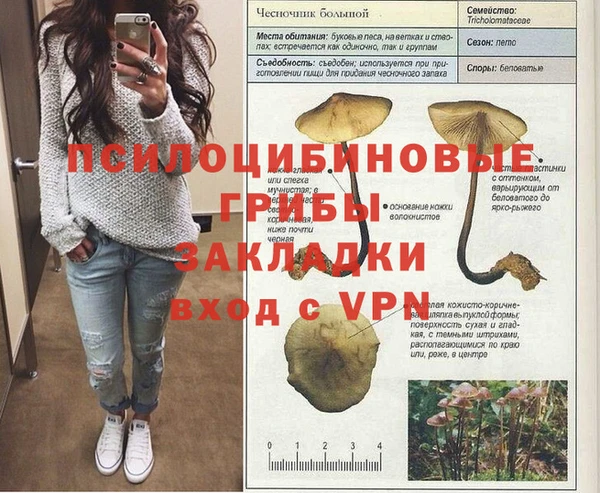 дживик Баксан