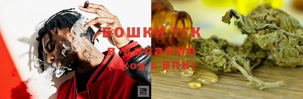 дживик Баксан