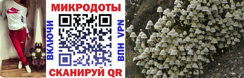 KRAKEN вход  цены   Белозерск  Псилоцибиновые грибы Cubensis 